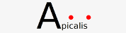 Webmail Apicalis